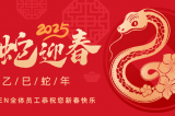 辭舊迎新，蛇舞華章丨深圳容金科技全體員工祝您新春快樂(lè)！