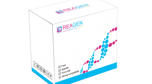 對蝦桿狀病毒（BP）DNA恒溫核酸檢測試劑盒（不含提?。? height='100'>
			</a>
		</figure>
		<h4 class=