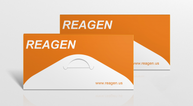 Tetracycline antibody